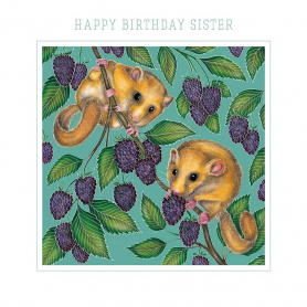 Dormice And Blackberries