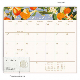 Sunny Oranges 2024 Calendar Pad|Seedlings