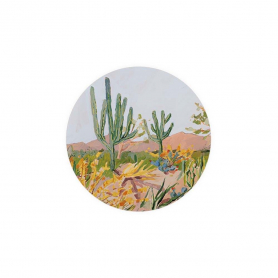 Cactus Coaster|Seedlings