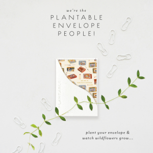 Matchbooks|Seedlings