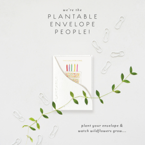 Birthday Slice Birthday Sprouts Mini Card|Seedlings