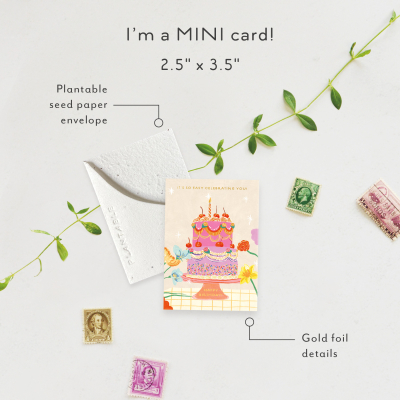 Cherry Cake|Seedlings