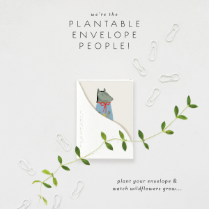 Lucky Horse|Seedlings