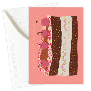 Slice Of Cake|Seedlings