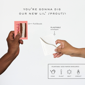 Slice Of Cake|Seedlings