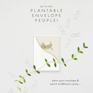 Hoppy Bday|Seedlings