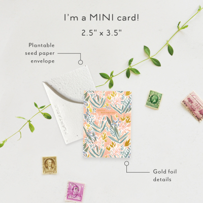 Happy Beginnings|Seedlings