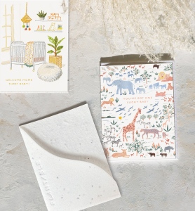 Lucky Baby Sprouts Card|Seedlings