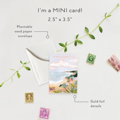 Shore Am Thankful|Seedlings