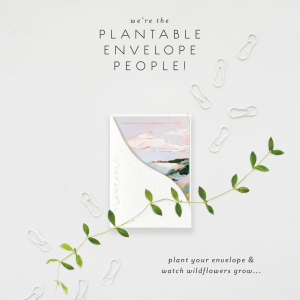 Shore Am Thankful|Seedlings