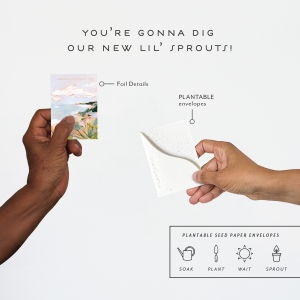 Shore Am Thankful|Seedlings