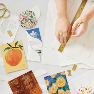 Shore Am Thankful|Seedlings