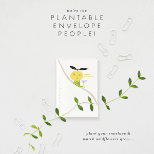 Yuzu Sprouts Mini Card|Seedlings