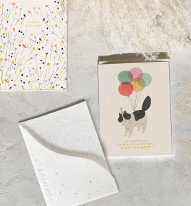 Birthday Kitty Sprouts Card|Seedlings