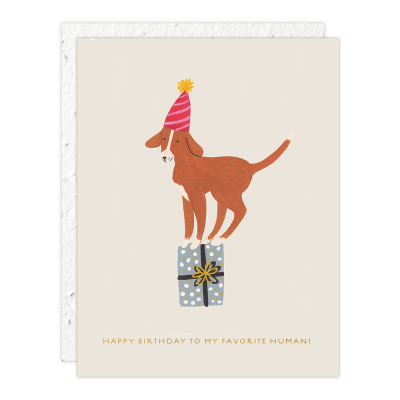 Birthday Dog Sprouts Mini Card|Seedlings