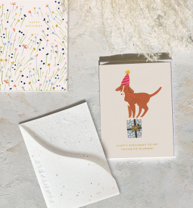 Birthday Dog Sprouts Card|Seedlings