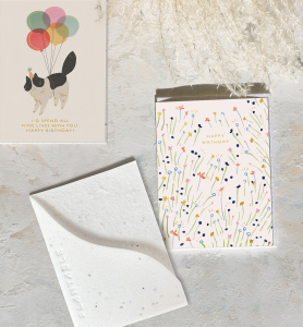Sweetest Stems Sprouts Card|Seedlings