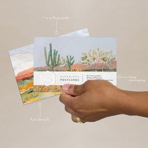 Cactus Postcard Set|Seedlings