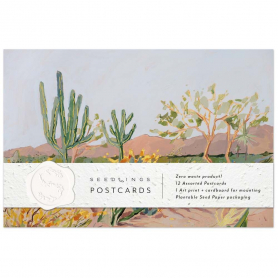 Cactus Postcard Set|Seedlings