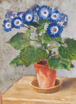 Blue Cineraria|Museums & Galleries