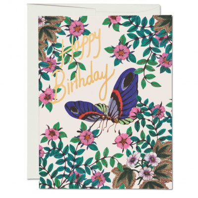 Delicate Butterfly|Red Cap Cards