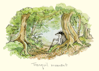 Tranquil Moment