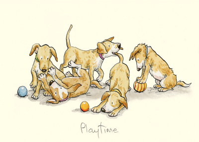 Playtime