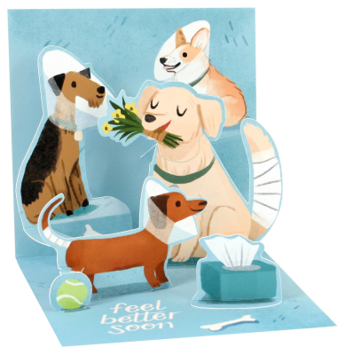 Get Well Dogs|Up With Paper