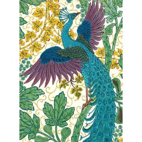 Fig And Peacock|Museums & Galleries