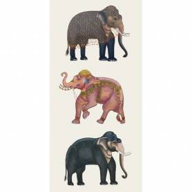 Indian Elephants|Museums & Galleries