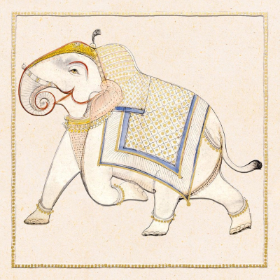 Study Of An Elephant