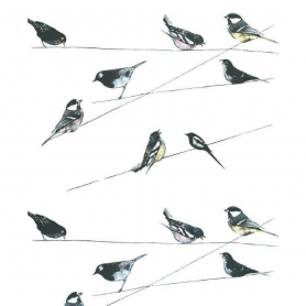 Garden Birds Wallpaper|Museums & Galleries