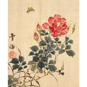 Rose And Butterfly