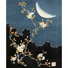 Blossom By Moonlight|Museums & Galleries