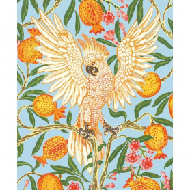 Cockatoo And Pomegranate|Museums & Galleries