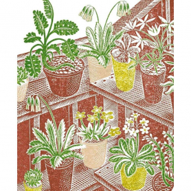 Ravilious Plants|Museums & Galleries