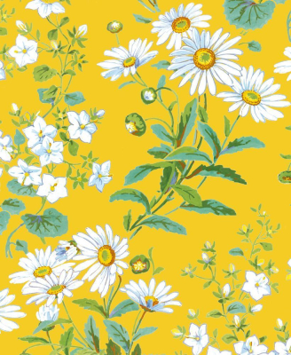 Yellow Daisies|Museums & Galleries