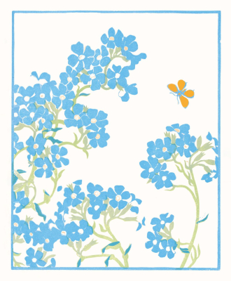 Anchusa Colour Woodcut