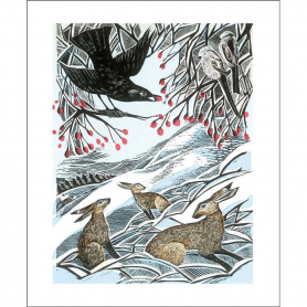 Hares in Conversation