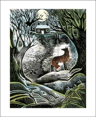 Midnight Fox