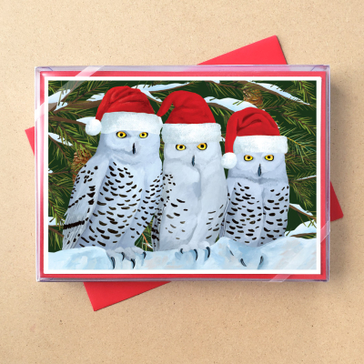 BOX Three Owls