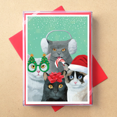 BOX REC Meowy Catmas Pals
