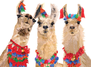 BOX REC Llama Trio