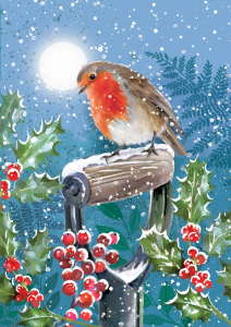 BOX REC Winter Wildlife