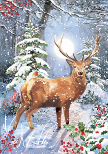 BOX REC Winter Wildlife