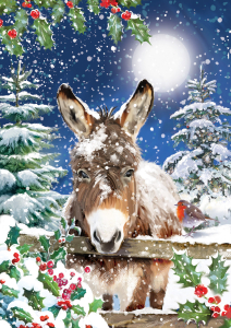 BOX REC Winter Wildlife