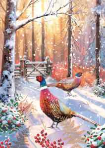 BOX REC Winter Wildlife