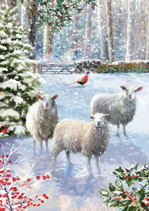 BOX REC Winter Wildlife Big Value