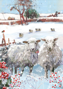 BOX REC Snowy Christmas Big Value