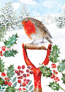 BOX REC Classic Christmas Big Value